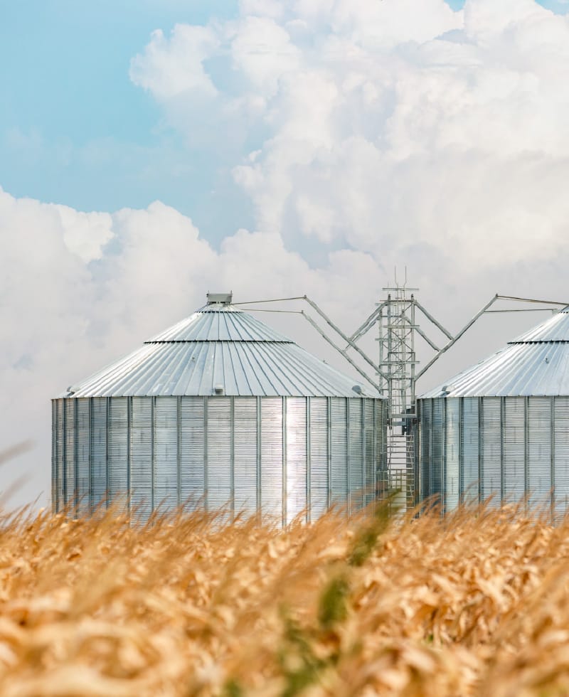 Grain bins in a field with a blue sky and clouds.