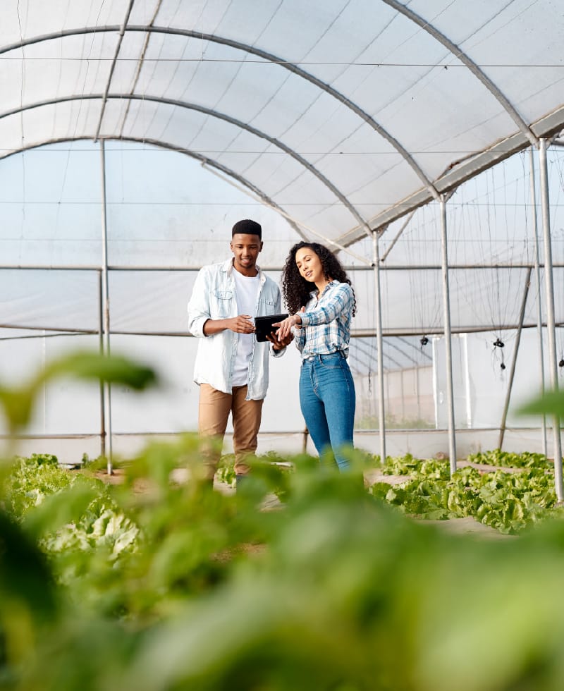 Two people using a tablet in a greenhouse.